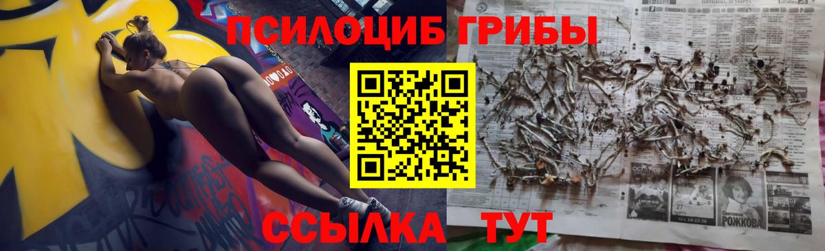 Галлюциногенные грибы MAGIC MUSHROOMS Малоярославец